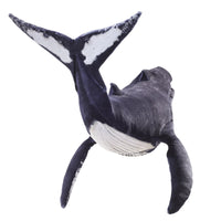 Humpback Whale