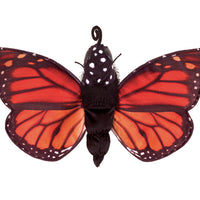 Monarch Life Cycle Puppet