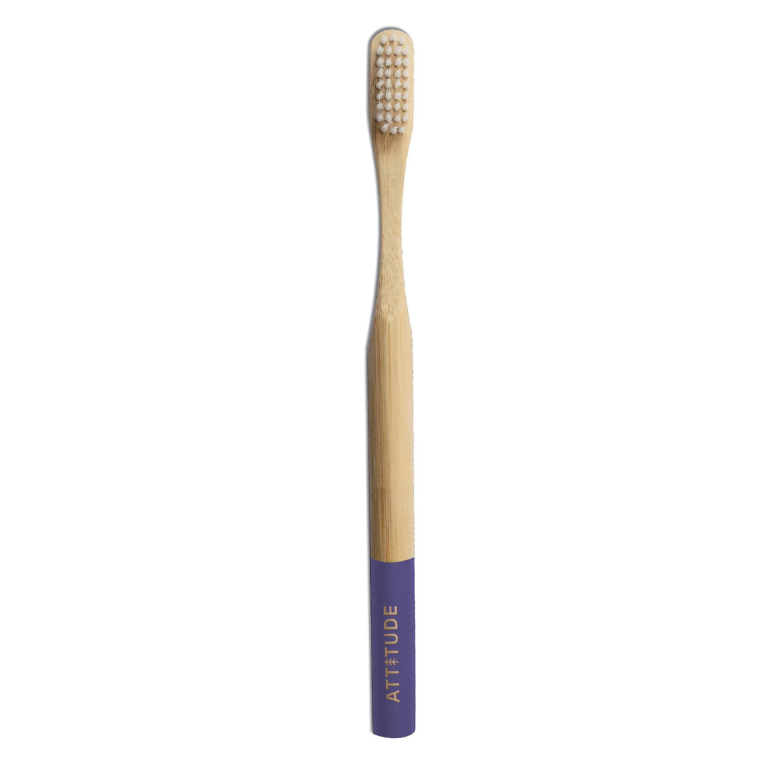 Adult Toothbrush