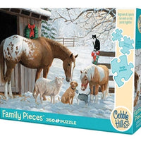 350 Piece Family Puzzle