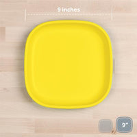 Large Flat Plate 9"
