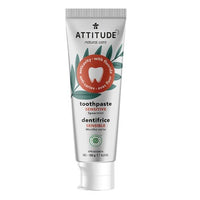 Natural Care Toothpaste