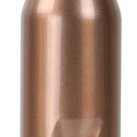 Aspen Insulated Steel Bottle