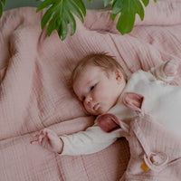 Cuddle Cloth Kangaroo