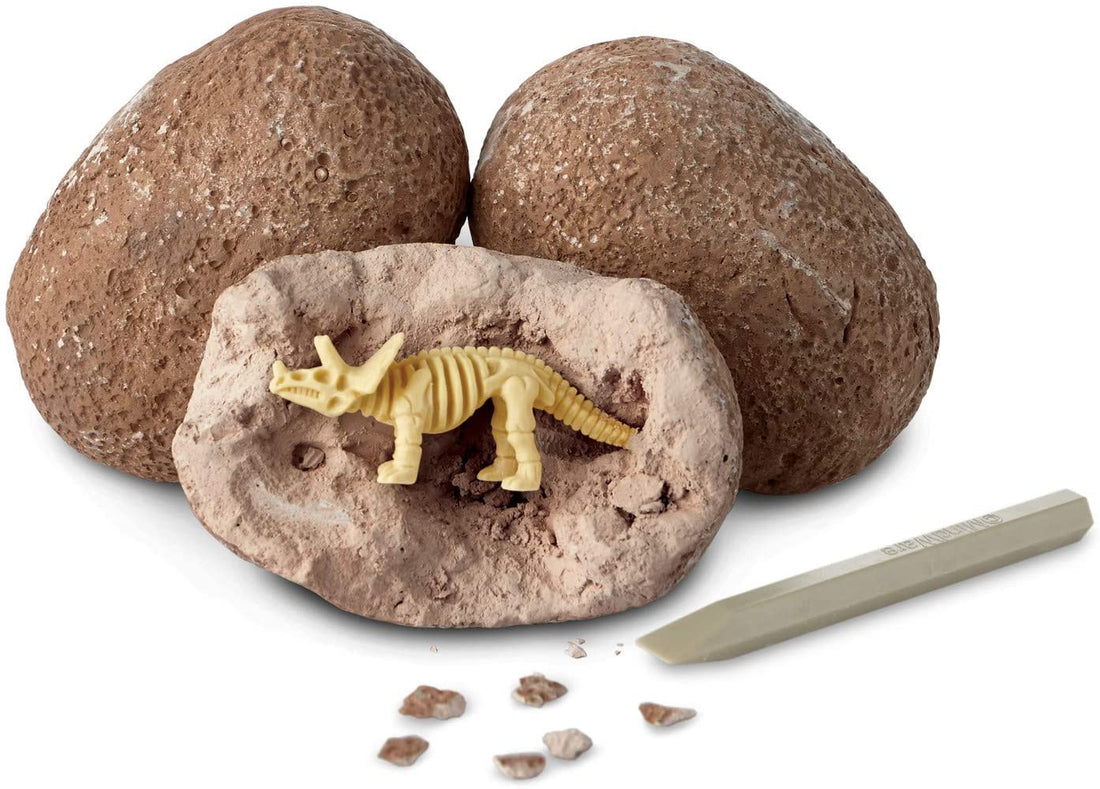 Dig it Up Single Eggs!