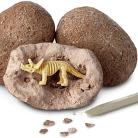 Dig it Up Single Eggs!