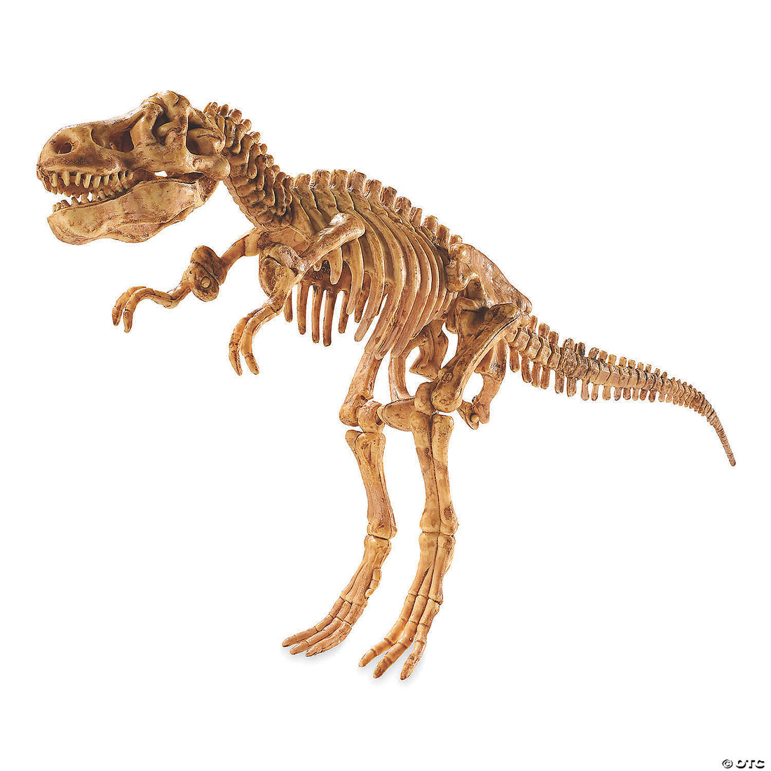 Dig it Up! Tyrannosaurus Rex
