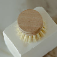 Long Handle Dish Brush - with Replaceable Head