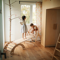 Rocking & Climbing Arch