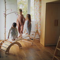 Rocking & Climbing Arch