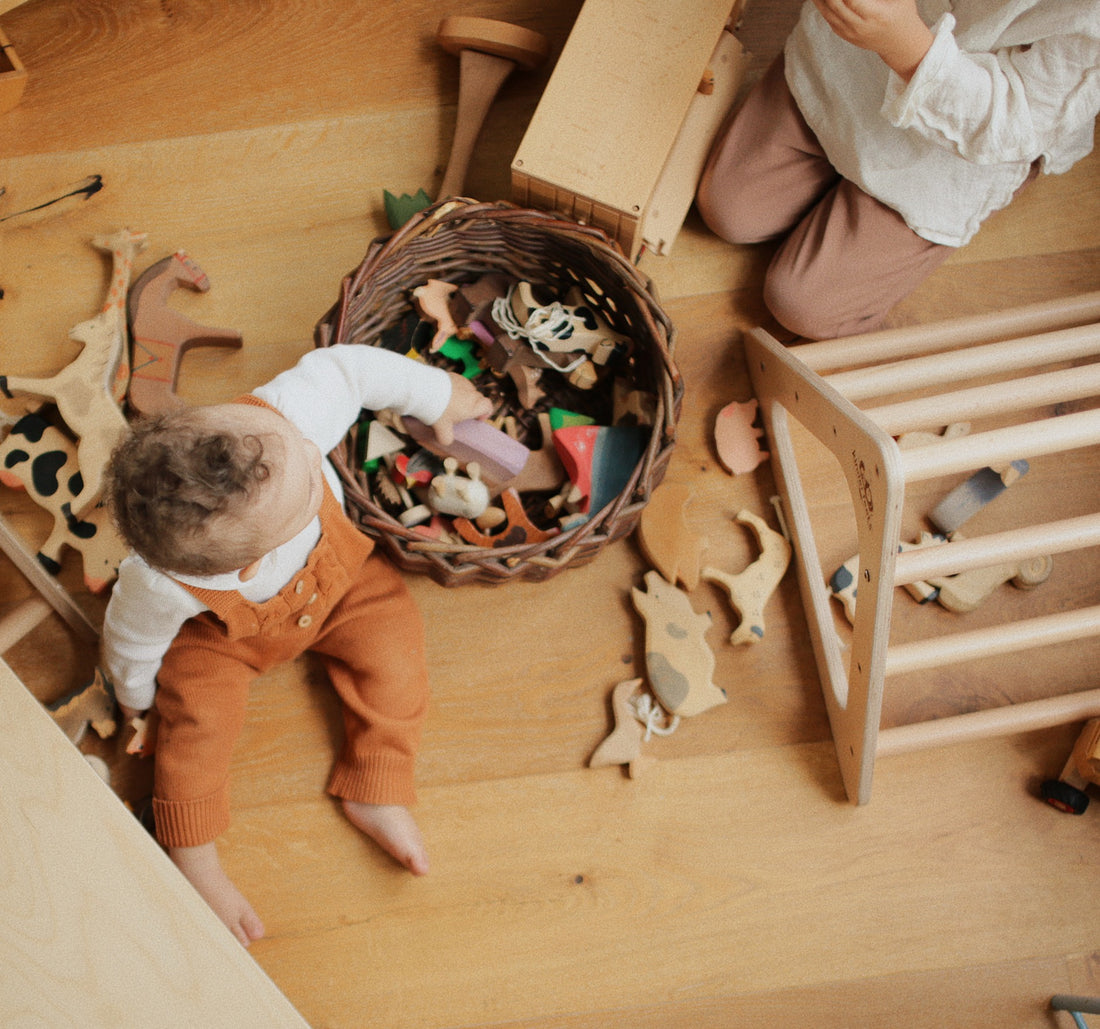 Pikler Triangle - Medium