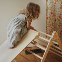Pikler Ramp & Slide