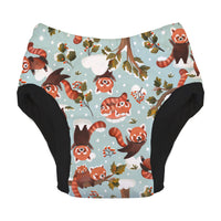 Potty Training Pant