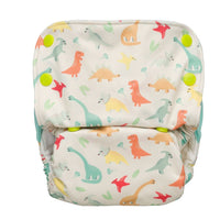 All-in-One Cloth Diaper