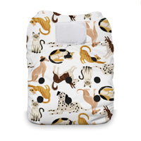 Natural One Size All in One Cloth Diaper