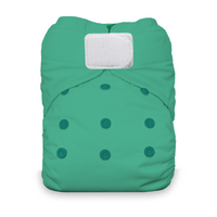 Natural One Size All in One Cloth Diaper