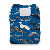 Natural One Size All in One Cloth Diaper