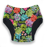 Potty Training Pant
