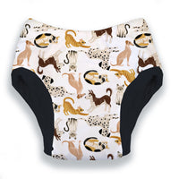 Potty Training Pant