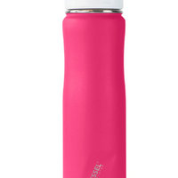 Summit Stainless Steel Insulated Straw Water Bottle