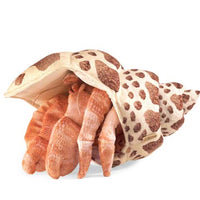 Hermit Crab Puppet
