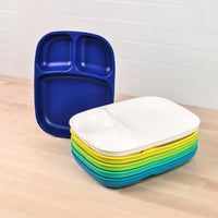 Large Divided Tray