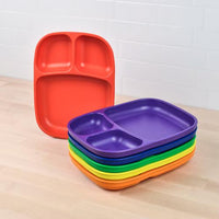 Large Divided Tray