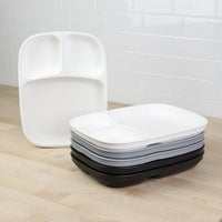 Large Divided Tray