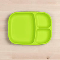 Large Divided Tray