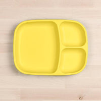 Large Divided Tray