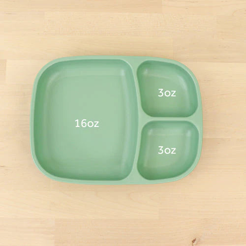 Large Divided Tray