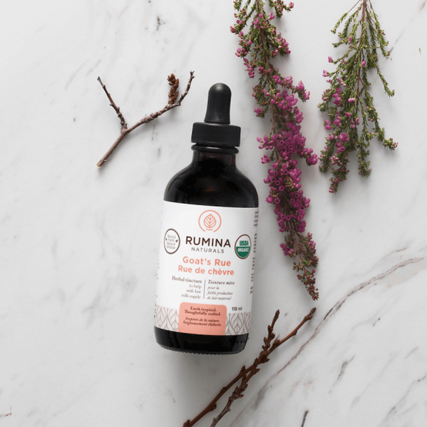 Goat's Rue Herbal Tincture