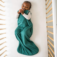 Sleep Bag 2.5 TOG