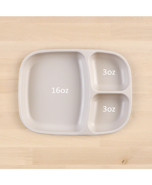 Large Divided Tray