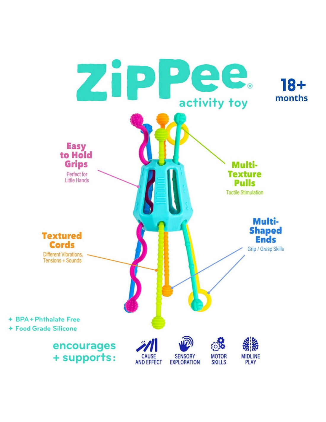 Zippee Sensory Activity Toy