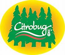 Citro Bug