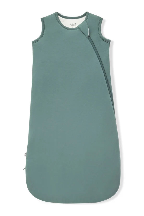 Sleep Bag 2.5 TOG