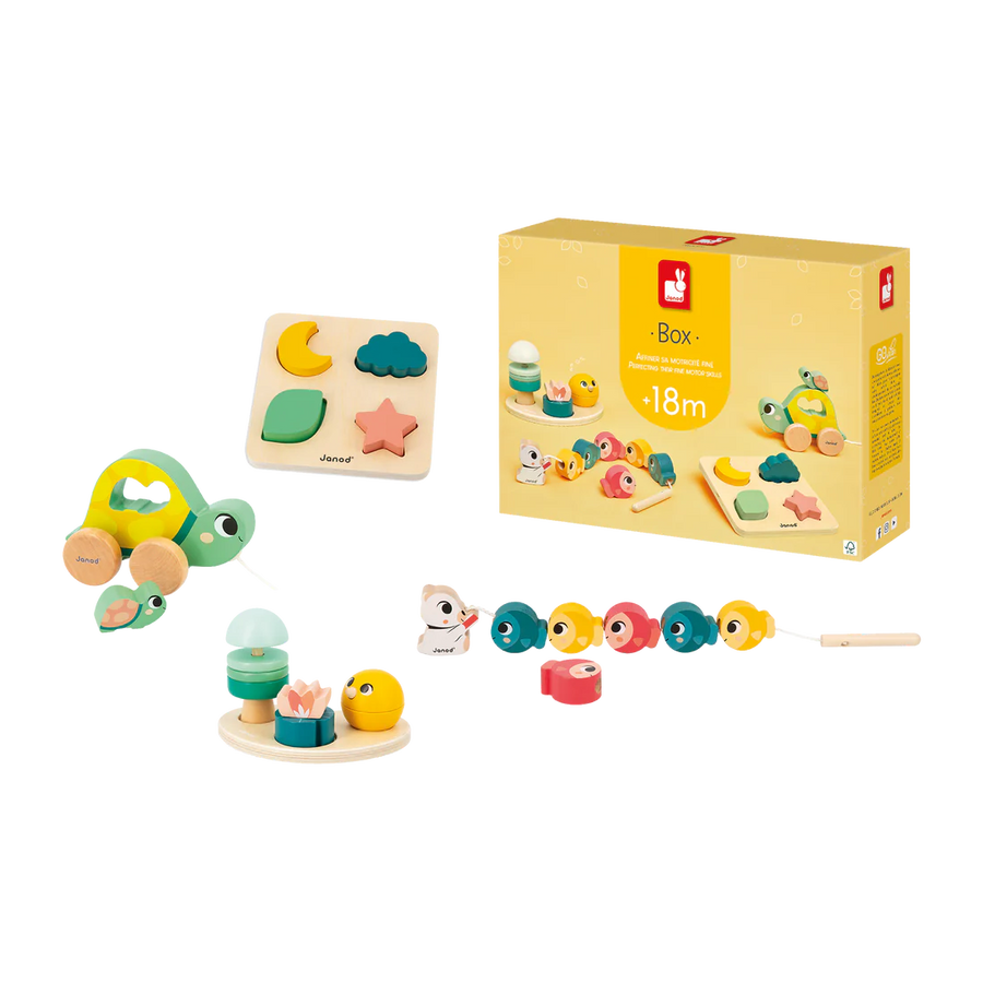 Wooden Toy Gift Box - 18 Month
