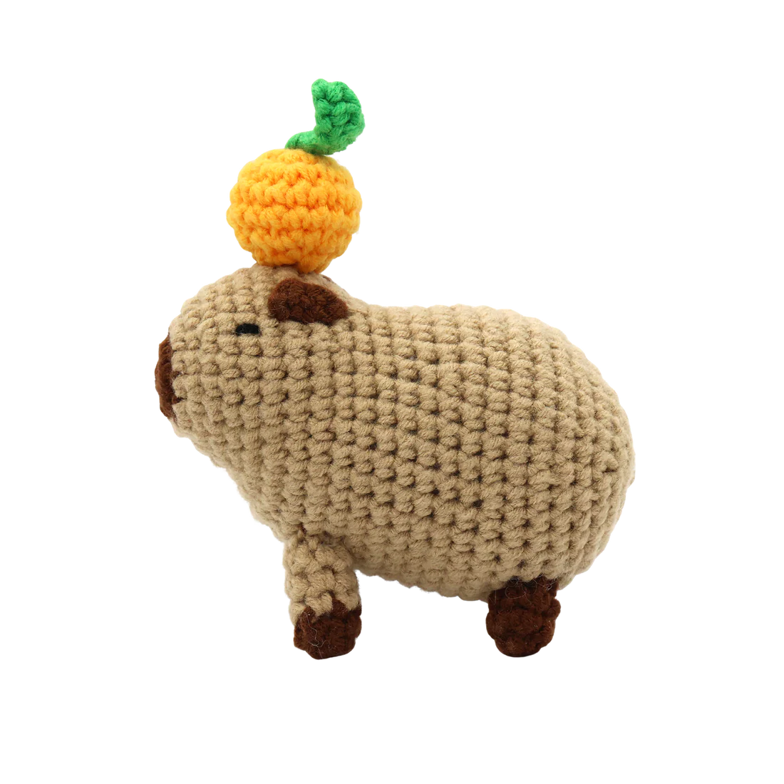 DIY Crochet Kit