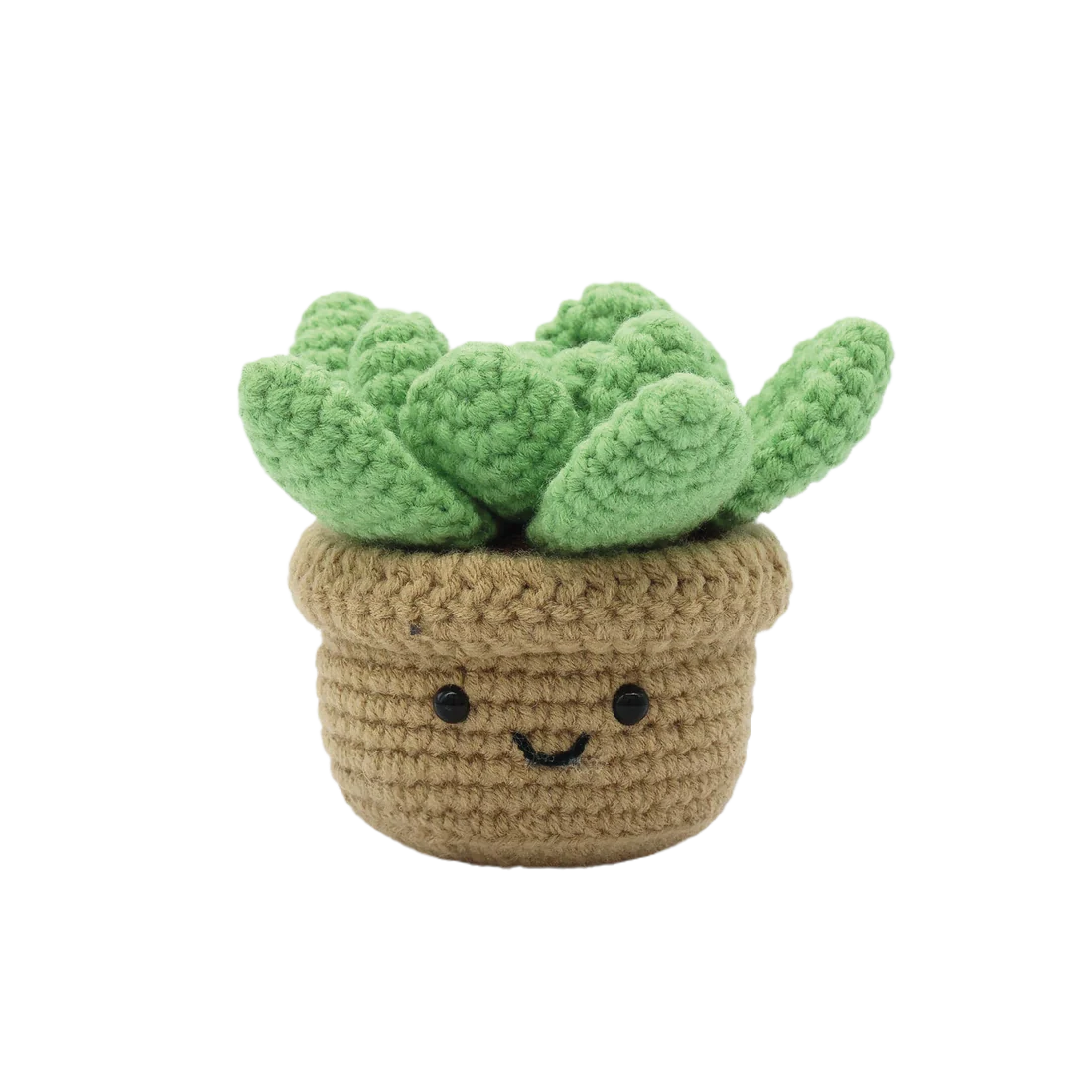 DIY Crochet Kit