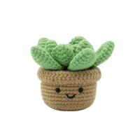 DIY Crochet Kit