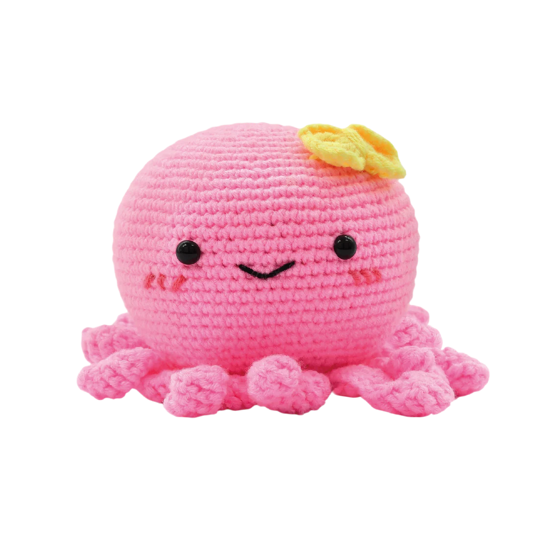 DIY Crochet Kit