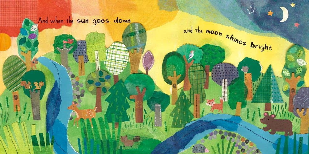 Who's In The Forest Book