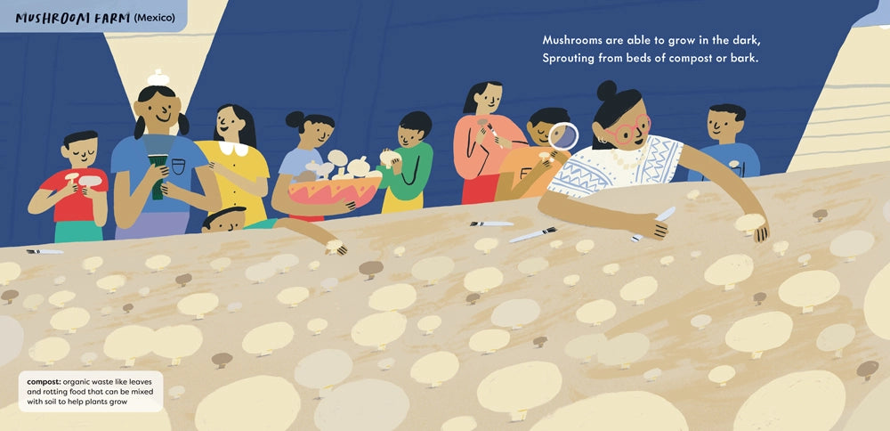 Food For the Future Book