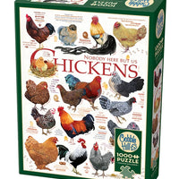 1000 Piece Jigsaw Puzzle