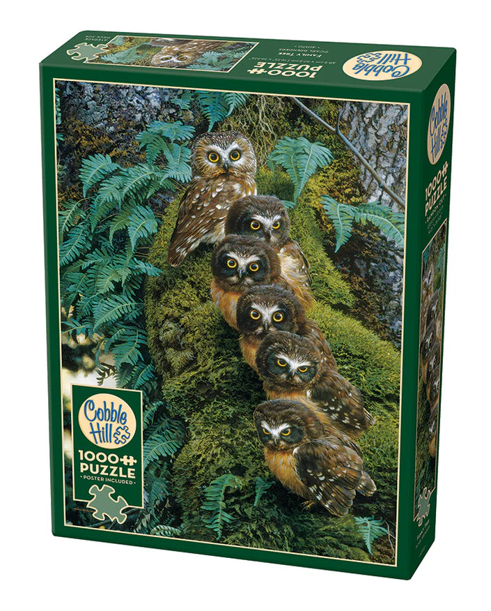 1000 Piece Jigsaw Puzzle