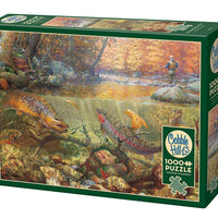 1000 Piece Jigsaw Puzzle