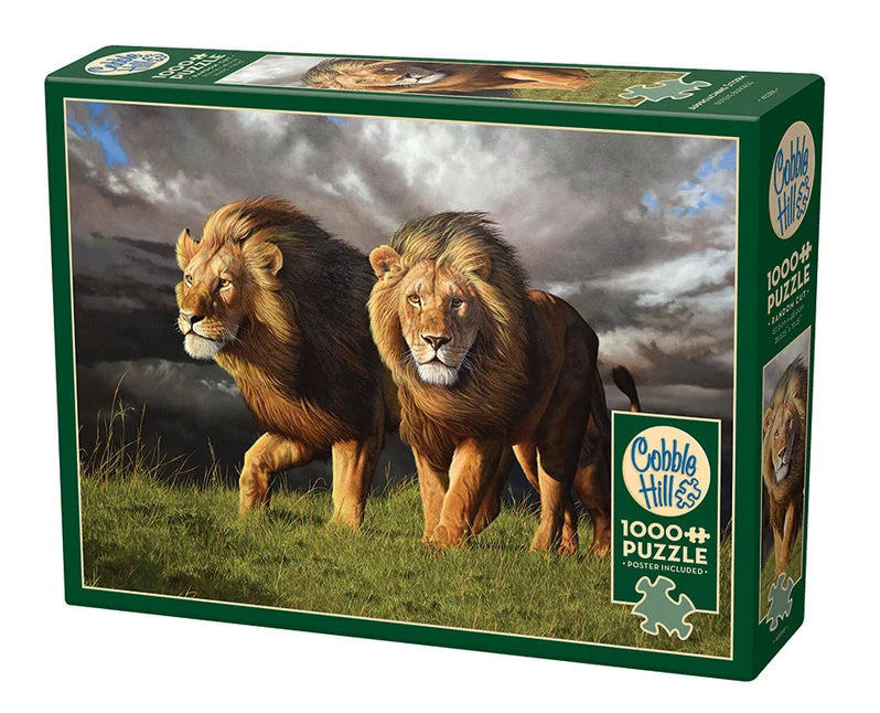 1000 Piece Jigsaw Puzzle