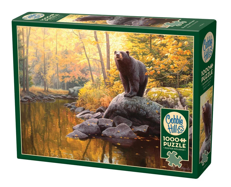 1000 Piece Jigsaw Puzzle