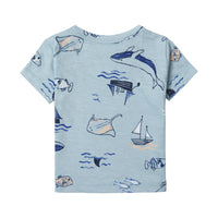 Baby Boys Bay Print Tee Shirt